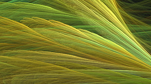 yellow and green wall paper